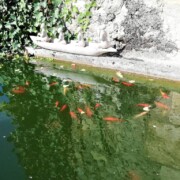 Au bout du Chemin Dordogne chambres d'hôtes et stages