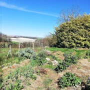 Gîte - Jardin Au bout du Chemin - Dordogne