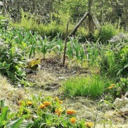 Jardin Au bout du Chemin, gîtes et chambres d'hôtes