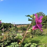 Jardin Au bout du Chemin - Dordogne