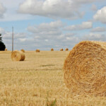 Paysage Vendoire